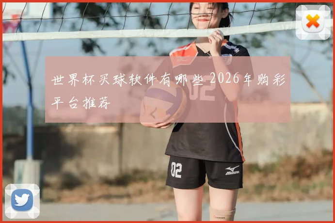 世界杯买球软件有哪些 2026年购彩平台推荐