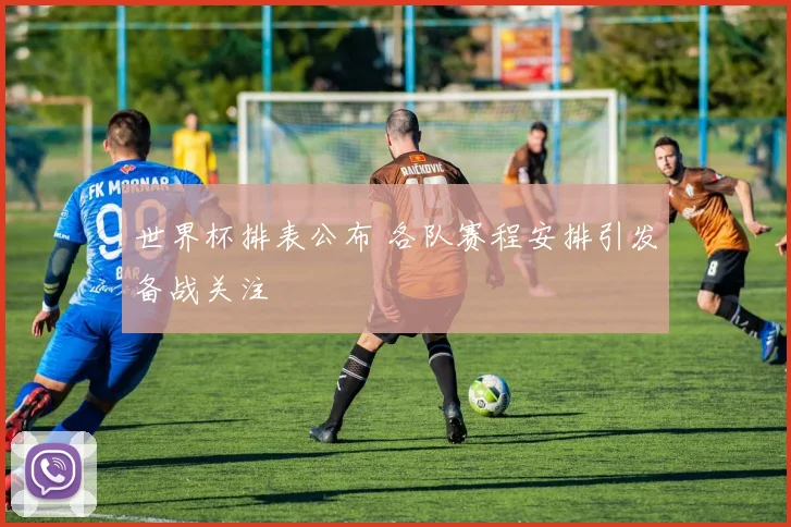 世界杯排表公布 各队赛程安排引发备战关注