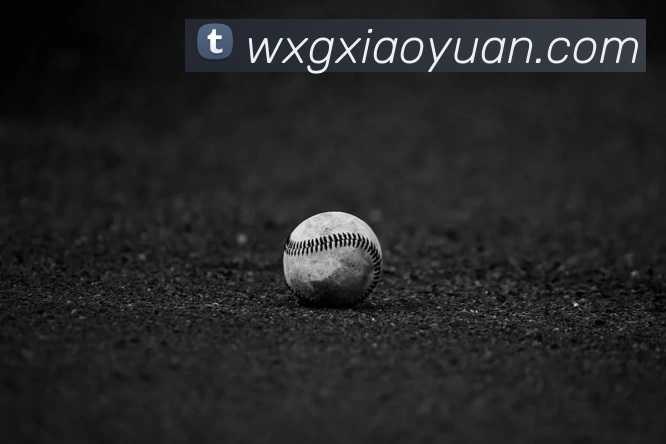 必一·运动(B - sports)官方网站APP 高清赛事图